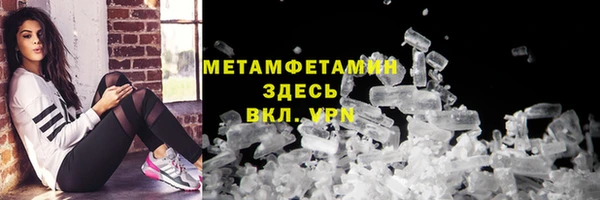 молекула духа Богданович