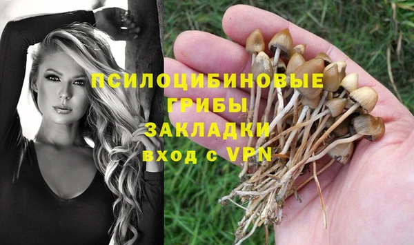 гидропоника Красноперекопск