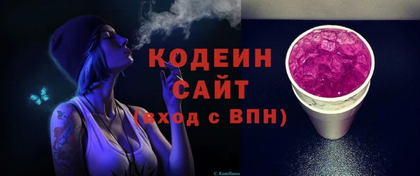 молекула духа Богданович
