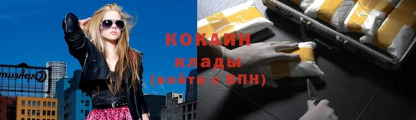 сатива Корсаков