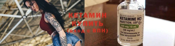 молекула духа Богданович