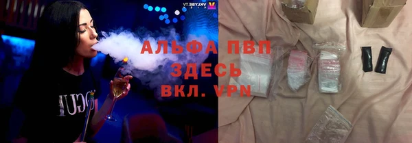 ECSTASY Белокуриха