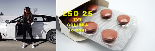 ECSTASY Белокуриха