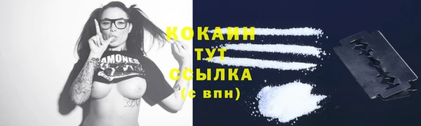 ECSTASY Белокуриха