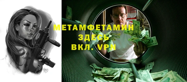 молекула духа Богданович