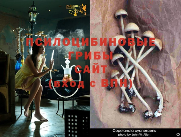 кокаин VHQ Беломорск