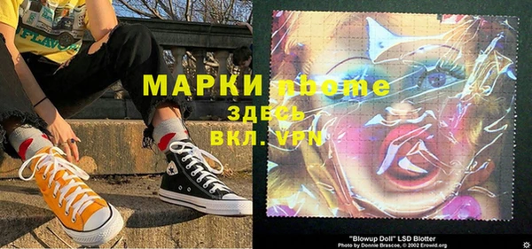 молекула духа Богданович