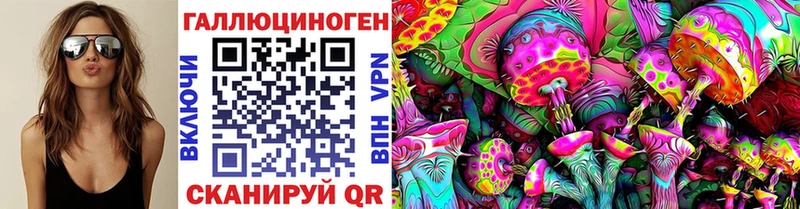 Псилоцибиновые грибы мицелий  где купить   Буйнакск 